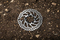 SD Wave Disc 120 mm 6 bolt pattern